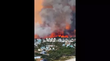 Antalya'daki orman yangını yerleşim yerlerine ulaştı! Villalar tahliye edildi, elektrikler kesildi