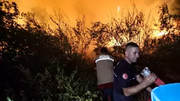 Antalya'da Orman Yangınları Kontrol Altına Alınıyor