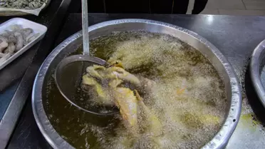 Balık Sezonu Başladı, Fiyatlar Düştü