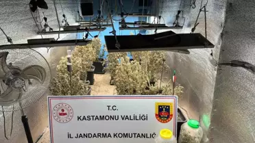 Kenevir Yetiştiren Sanıklar Tahliye Edildi