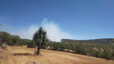 Diyarbakır'da Yangın Kontrol Altında