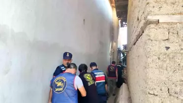 Vicdansız torun içkisine karışan babaannesini, başına tüple vurarak katletti