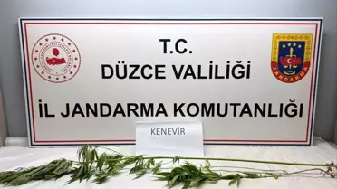 Düzce'de Uyuşturucu Operasyonu