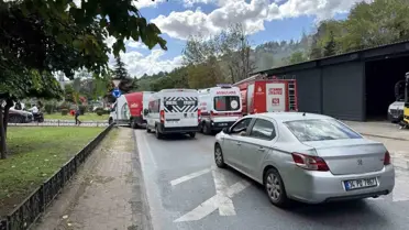 Kağıthane'de Ağaçlık Alanda Yangın