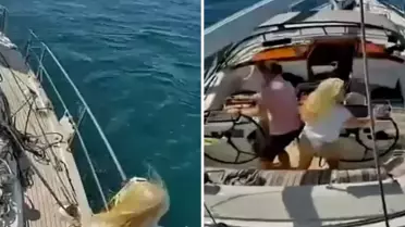 Katil balinalar lüks turist yatını batırdı! Mürettebat canını zor kurtardı