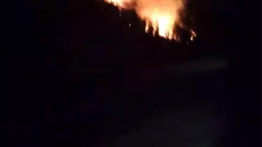 Köyceğiz'de Orman Yangınına Müdahele