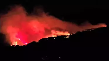 Köyceğiz'de Orman Yangını