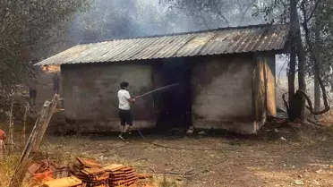 Muğla'da Orman Yangını Devam Ediyor