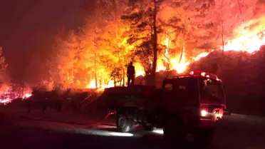 Muğla'da Peş Peşe Yangınlar