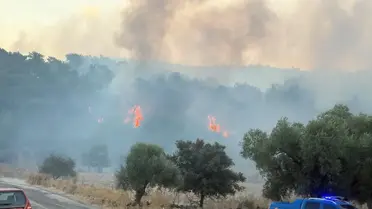 Milas'ta Orman Yangınına Hava Müdahalesi