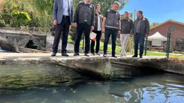 Bilecik'te Alabalık Tesisleri İncelendi