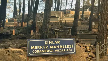 Alanya'da Yangın Kontrol Altında