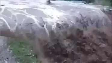 Borçka'da Sel Felaketi: Yollar ve Köprüler Zarar Gördü