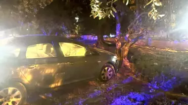 Erdek'te Zeytin Bahçesine Araç Girişi: 1 Yaralı
