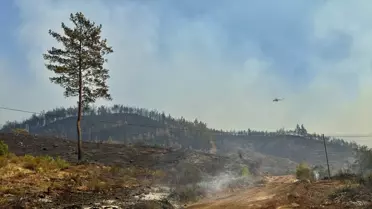 Muğla ve Antalya günlerdir yanıyor! Ekipler ölümden döndü, rüzgar alevleri harlıyor