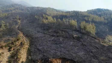 Yangın Alanları Dronla Görüntülendi