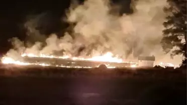 Marmaris'te Orman Yangını Kısa Sürede Söndürüldü