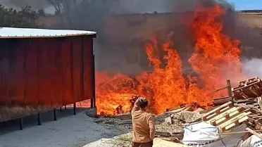 Tekirdağ'da Palet Fabrikasında Yangın