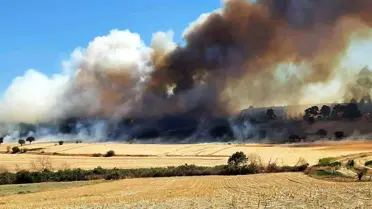 Çanakkale'de Orman Yangını
