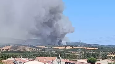Çanakkale'de Orman Yangını