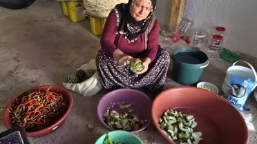 Yozgat'ta Sonbahar Hazırlıkları Başladı