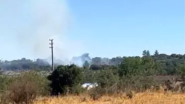 Muğla'da Makilik Alanda Yangın Çıktı