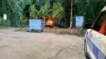Alkollü Sürücü Fidanlığa Daldı