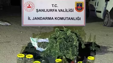 Viranşehir'de Uyuşturucu Operasyonu