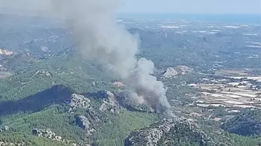 Serik'te Orman Yangını