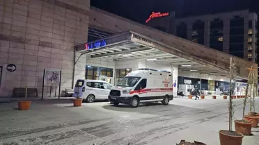 Meyve Toplayan Adam Ağaçtan Düştü