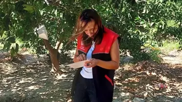 Edremit'te Akdeniz Meyve Sineği Uyarısı