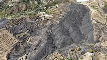 Alanya'da Orman Yangını: 1350 Hektar Zarar Gördü
