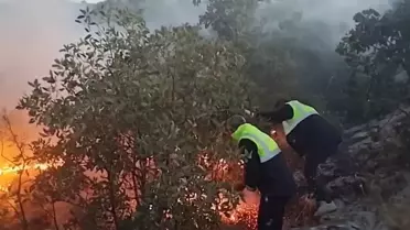 Diyarbakır'da Kırsal Yangın Kontrol Altına Alındı