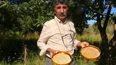 Arguvan'da Güvenilir Bal Satışı
