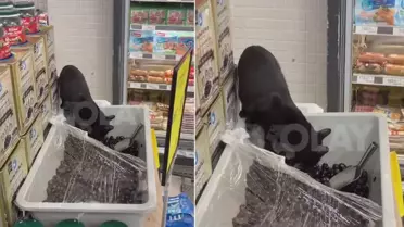 Marketten mide bulandıran görüntüler