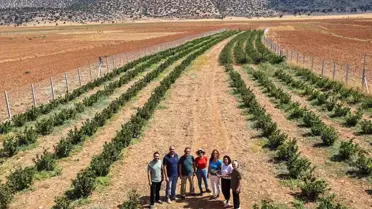 Antalya Beğiş Mahallesi'nde Sulama Projesi ile Tarımsal Üretimde Artış