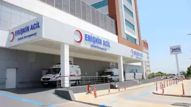 At düşen çocuk hastaneye kaldırıldı