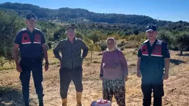 Germencik'te İncir Hırsızlığına Suçüstü
