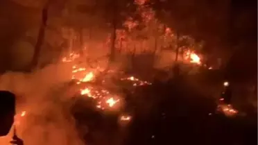 Antalya'da Orman Yangını