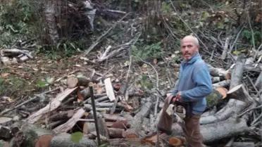 Ağaç Altında Kalan Adam Hayatını Kaybetti