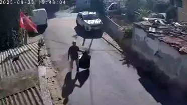 İnşaat Patlaması Kedileri Panikletti