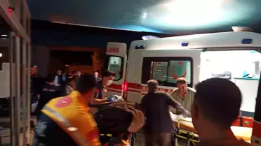 Koyunu kurtarmak isterken canından oluyordu