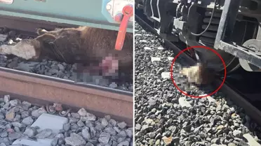 ''Sahtekar'' dedikleri müteahhit köylüleri perişan etti: Tarım ve hayvancılık yapamaz hale geldik