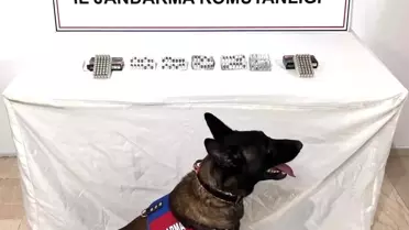 Eyyübiye'de Uyuşturucu Operasyonu