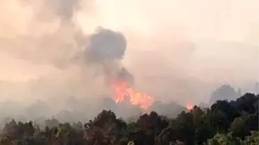 Beyşehir'de Sazlık Yangını Ormanlık Alana Sıçradı