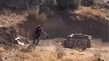 Köpeğe Şiddet Uygulayan Şahıs Gözaltına Alındı