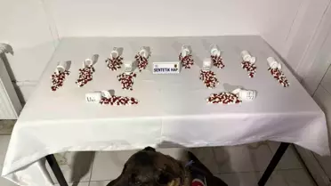 Tunceli'de Uyuşturucu Operasyonu