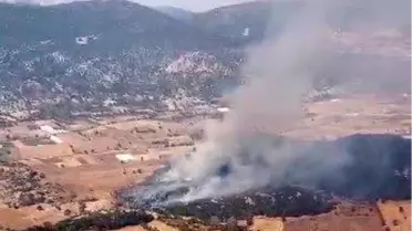 Burdur'da Tarla Yangını Ormana Sıçradı