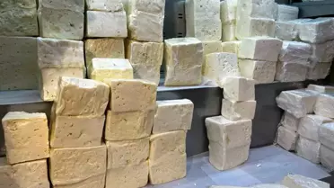 Denizli'de Peynir Ürünlerinde Tağşiş Tespiti