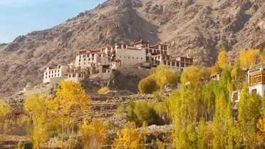 Ladakh'ta Sokağa Çıkma Yasağı